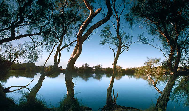 Alleged water theft from the Murray-Darling river system is under investigation.