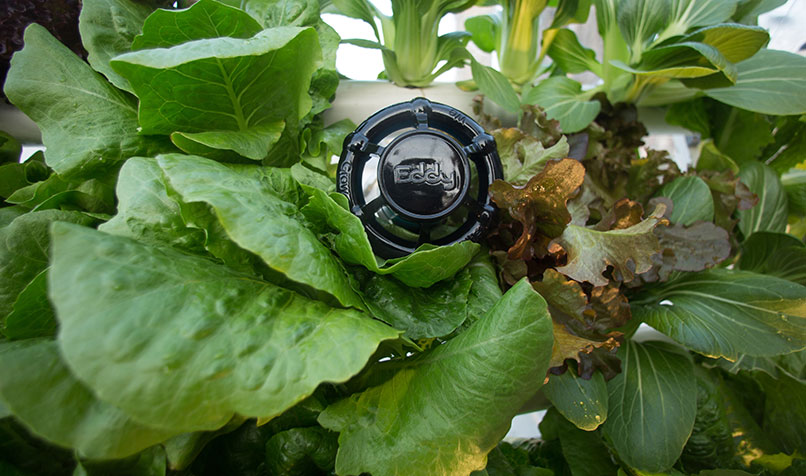 A military-grade robot, developed to support hydroponic farming, sits among plants during testing in a pop-up greenhouse in the Jaffa district of Tel Aviv.